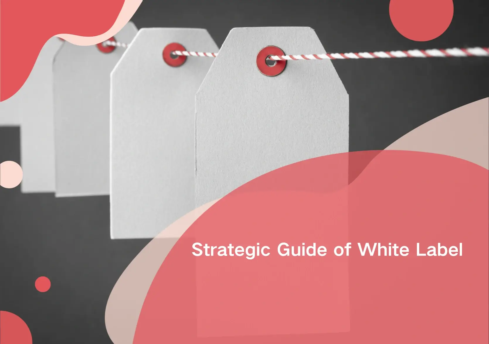 White label tags for brand building